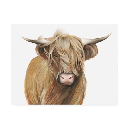 Trademark Fine Art Grace Popp 'Highland Cattle I' Canvas Art, 24x32 WAG11028-C2432GG